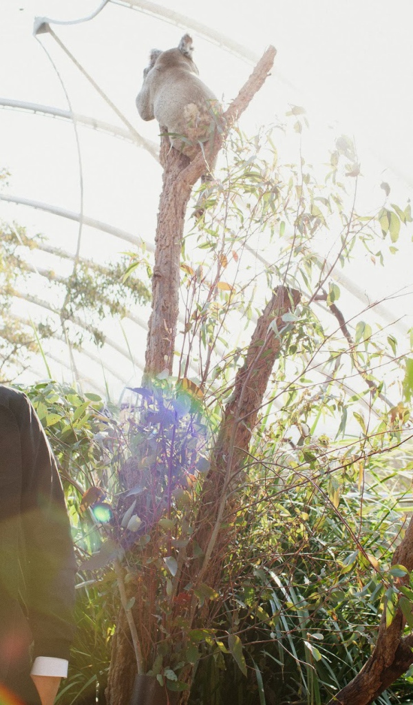 Фотосессия певца John Newman