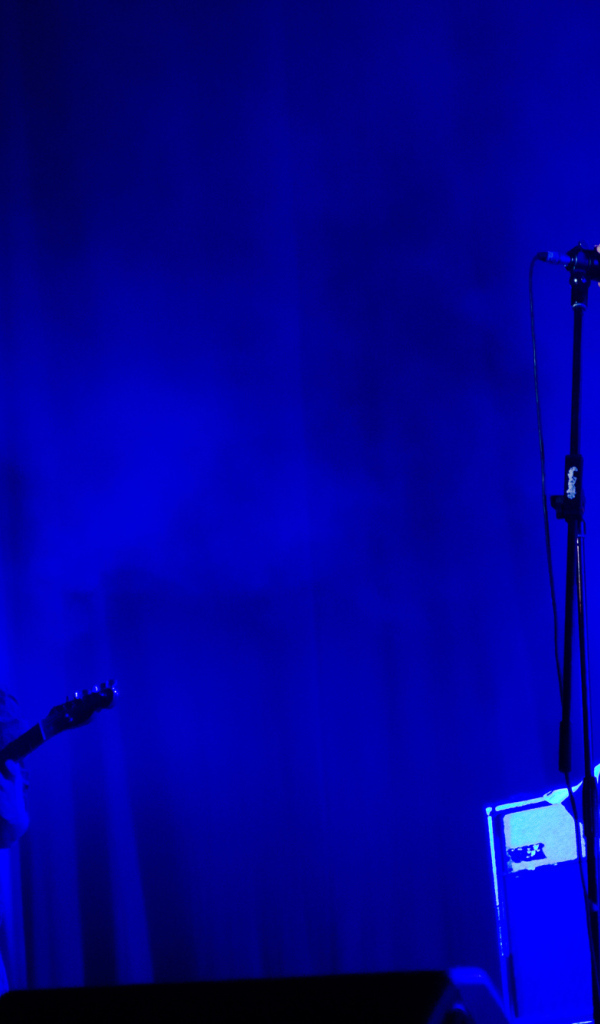 Сергей Бабкин на концерте в Москве