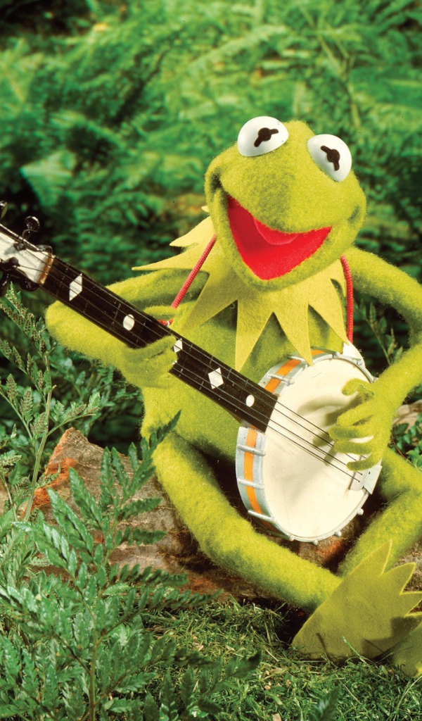 Лягушка с банджо