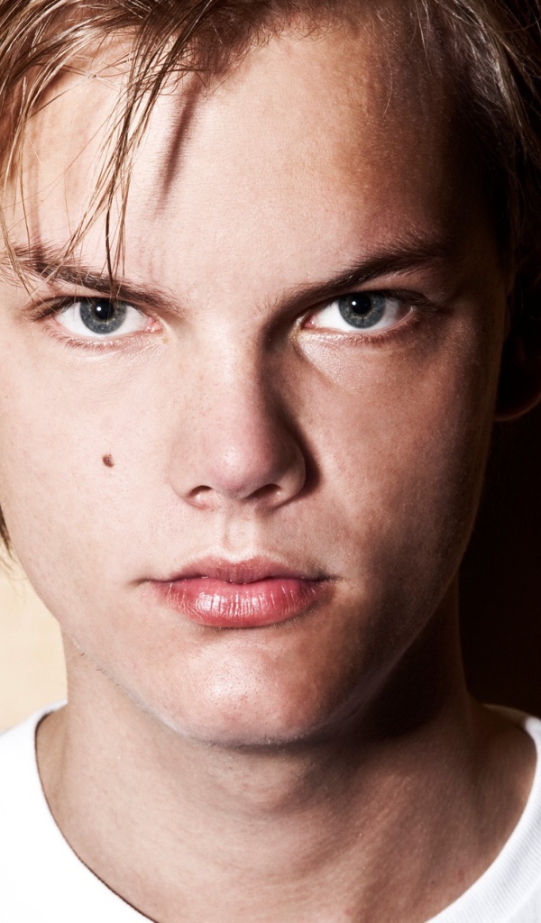 Лучший ди-джей Avicii