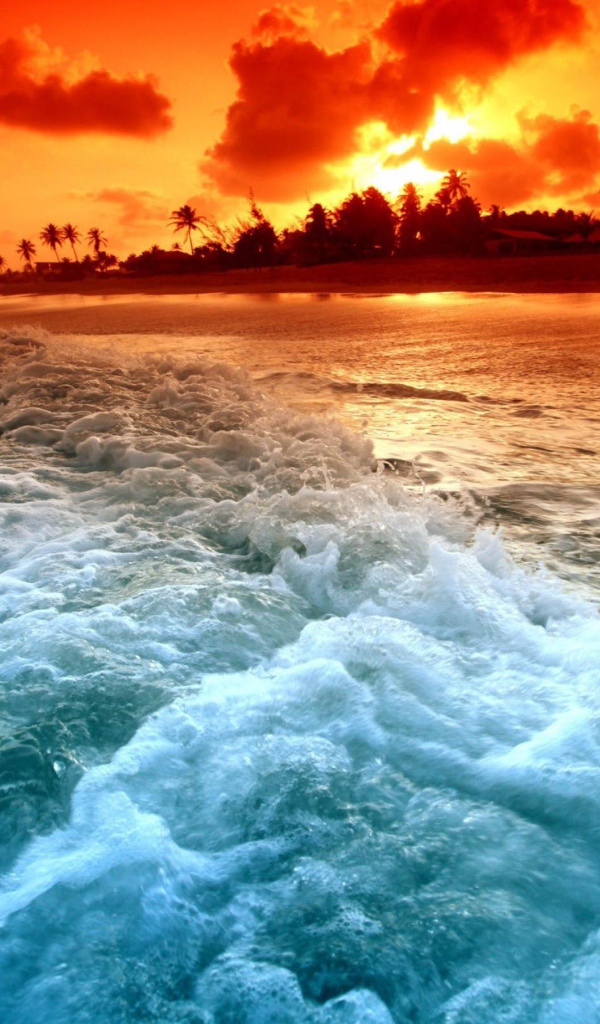 Пляж на закате в тропиках