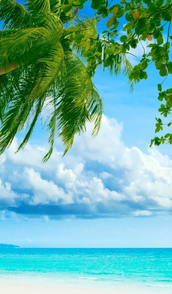 Пляж у голубого океана