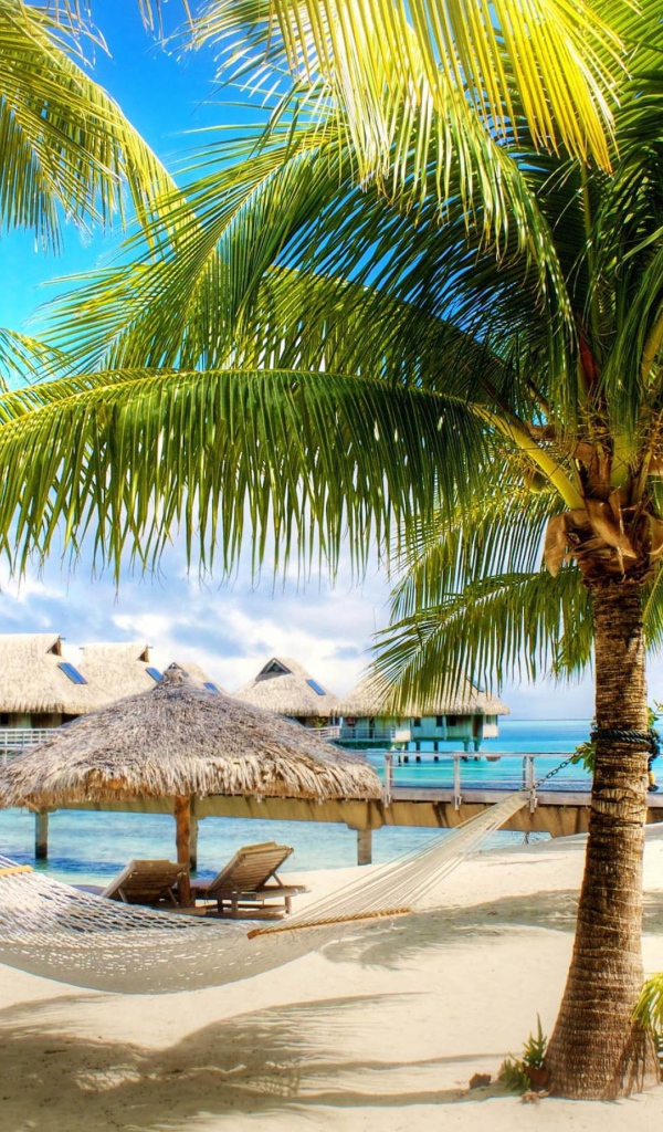 Пальмы и лежак на пляже