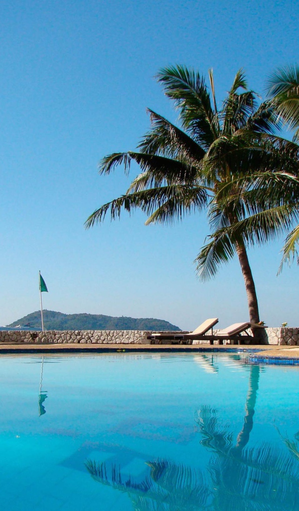 Бассейн и пальмы