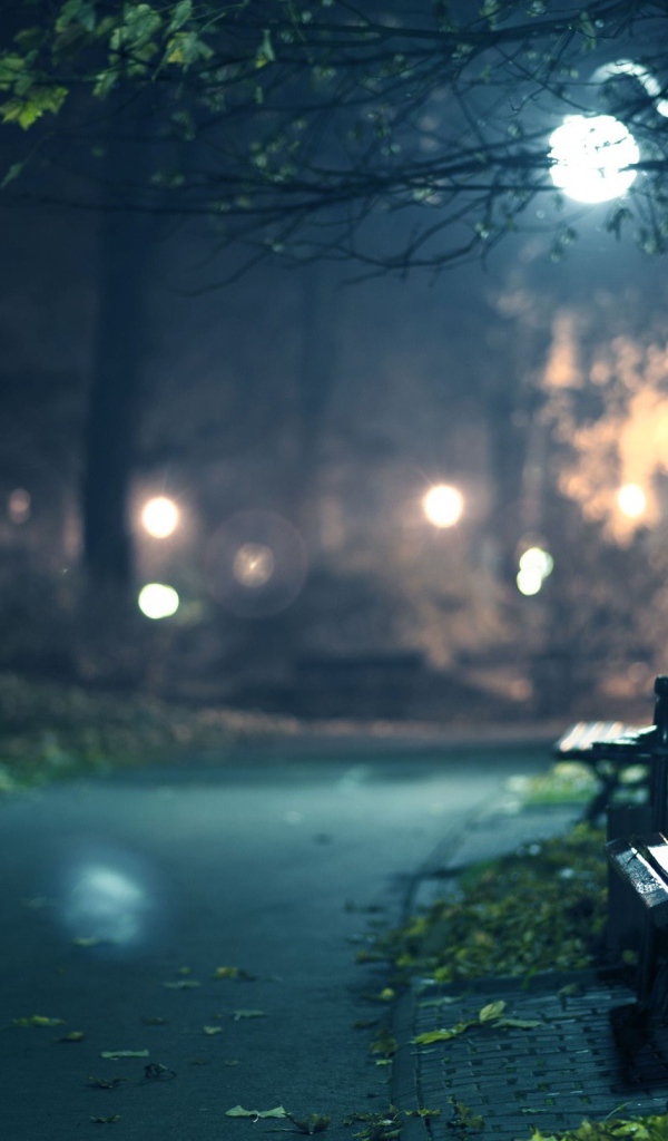 Скамейка в парке