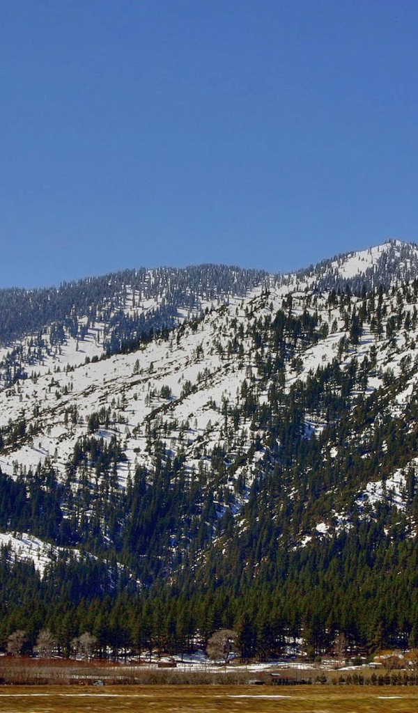 Горные защитники