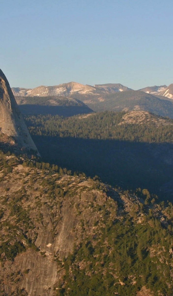 Горы и елка