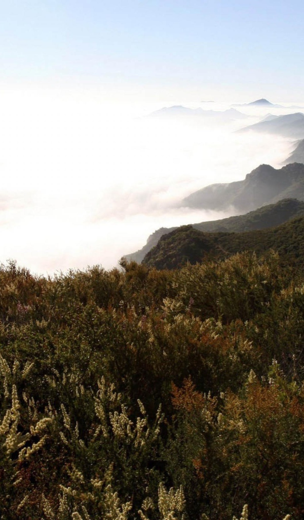 Горы в туманых облаках