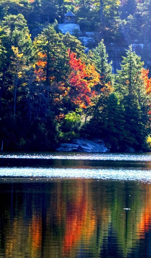 Осенний лес у озера