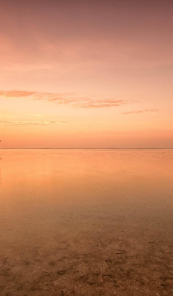 Розовый закат