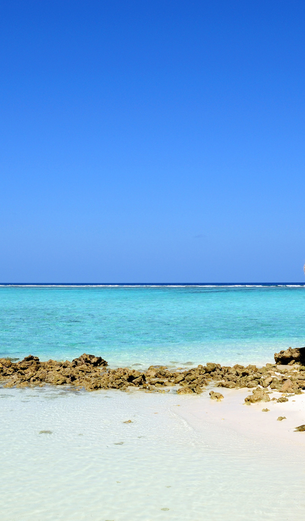 Домик на пляже