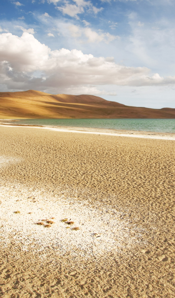 Чистый морской пляж