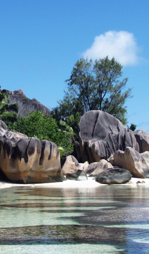 Причудливые формы камней на берегу