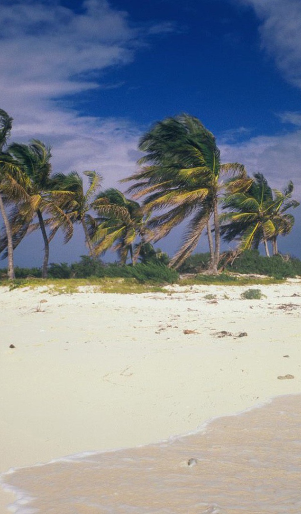 Шторм на пляже