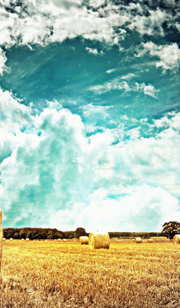 Тучи над полем