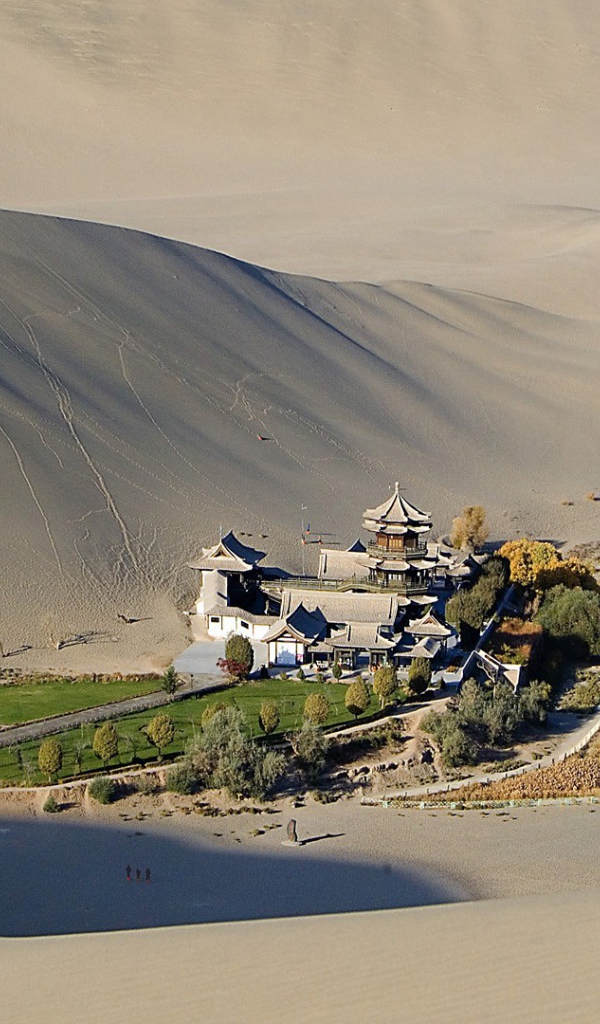 Оазис среди пустыни