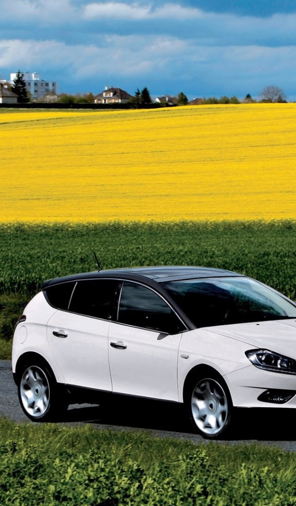 Автомобиль едет среди полей