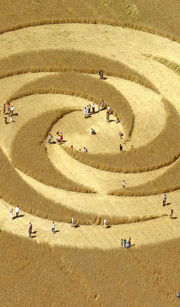 Круг на поле