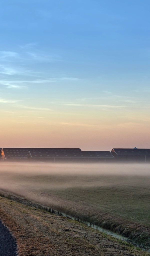 Раннее утро на поле