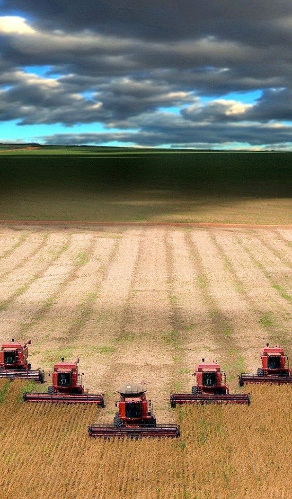 Уборка урожая