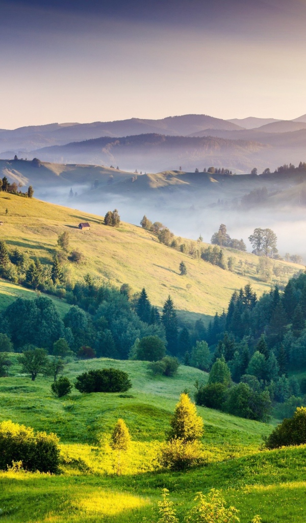 Холмистый пейзаж