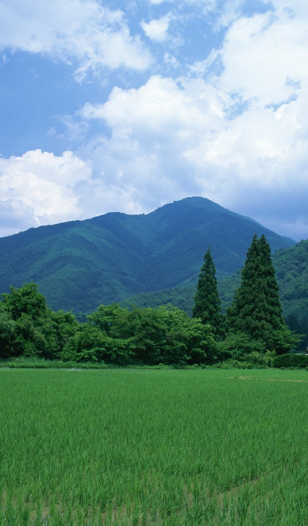 Пейзаж с домами