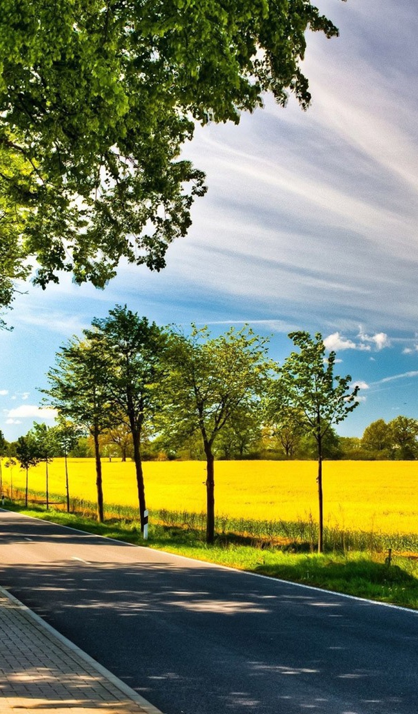 Старые и молодые деревья