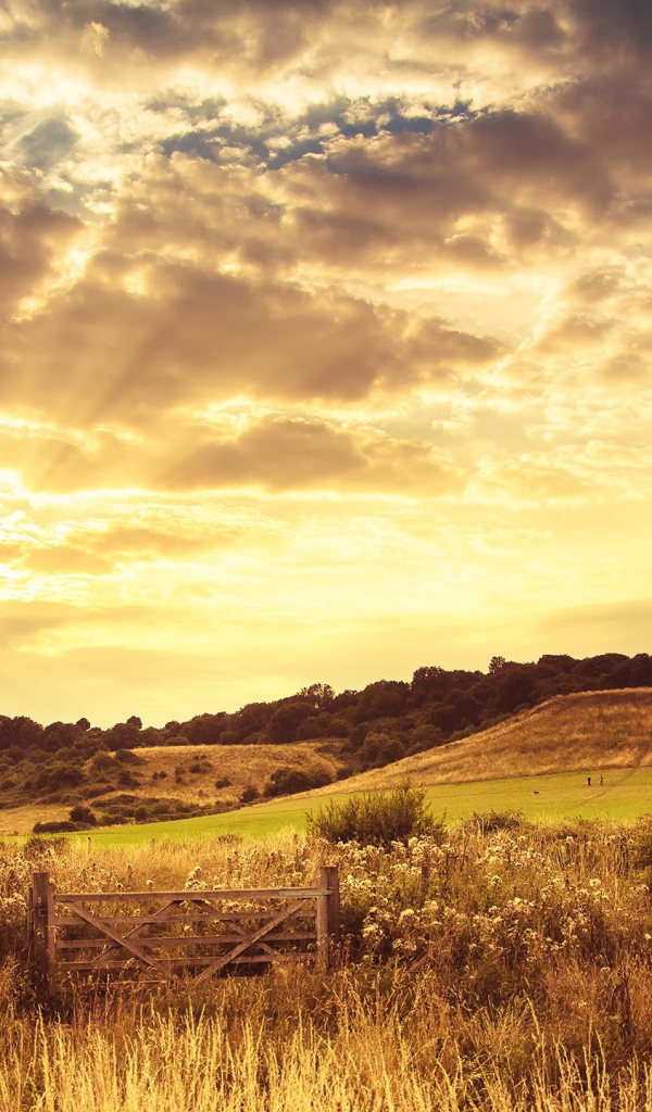 Закат на осеннем поле