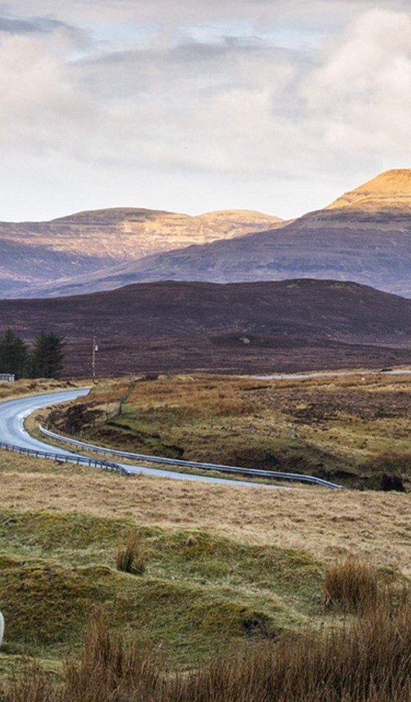 Дорога через поле в горы