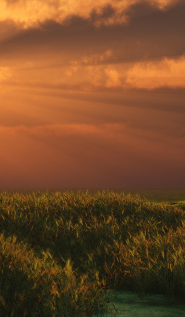 Солнечные лучи сквозь облака