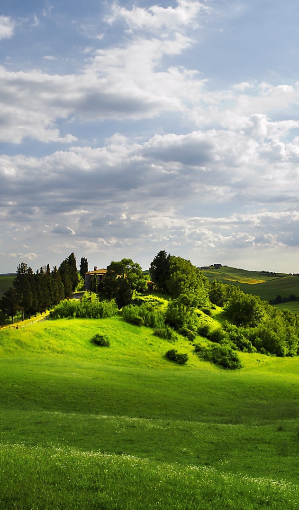 Изумрудно зеленые  холмы