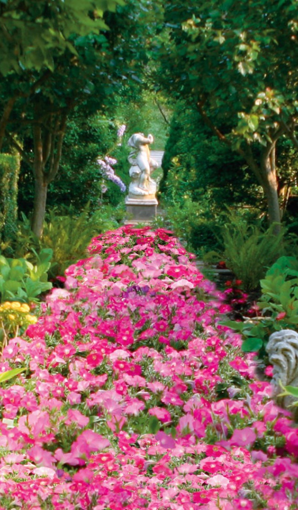 Аллея засаженная цветами