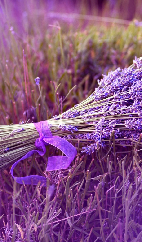 Букет из синих полевых цветов