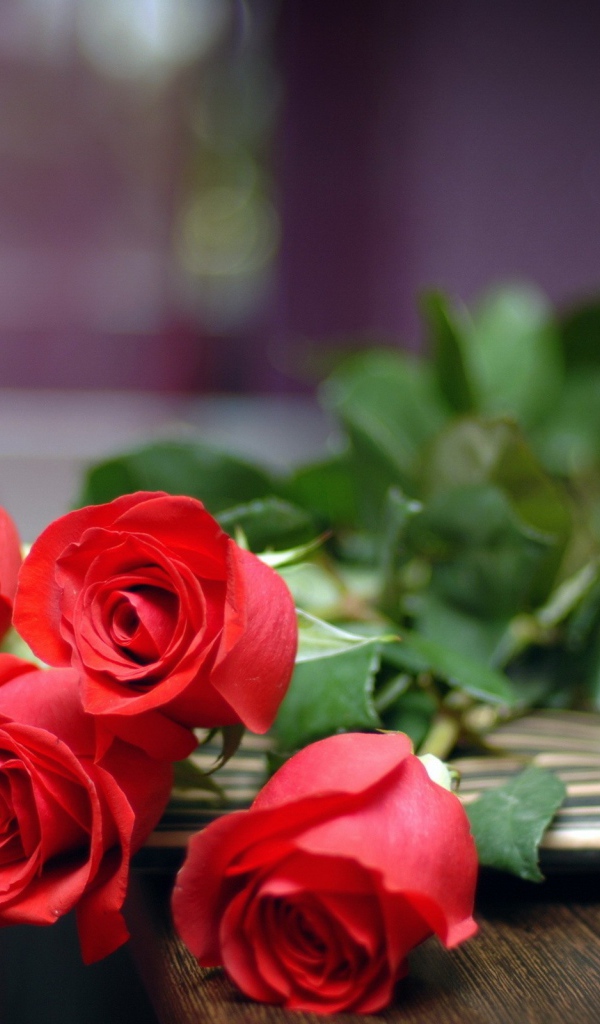 Букет красных роз