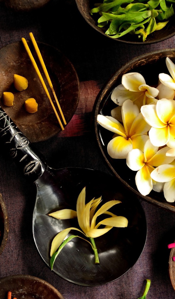 Цветочный гербарий на столе