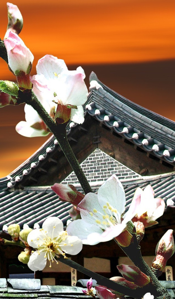 Цветы Японии