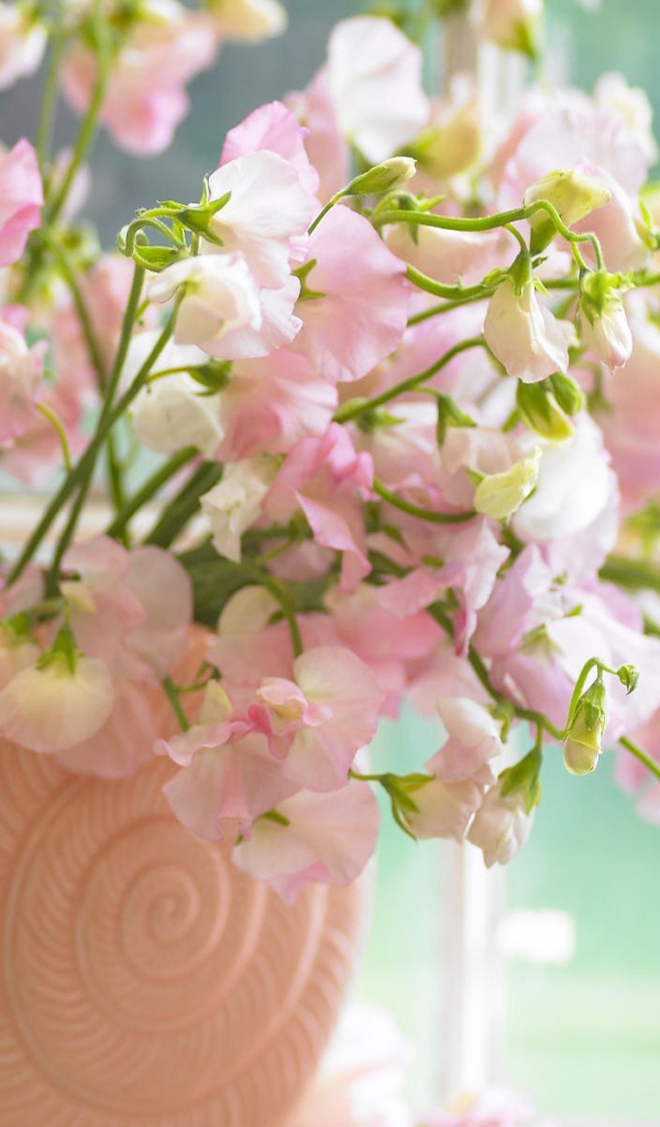 Розовые цветы в вазе