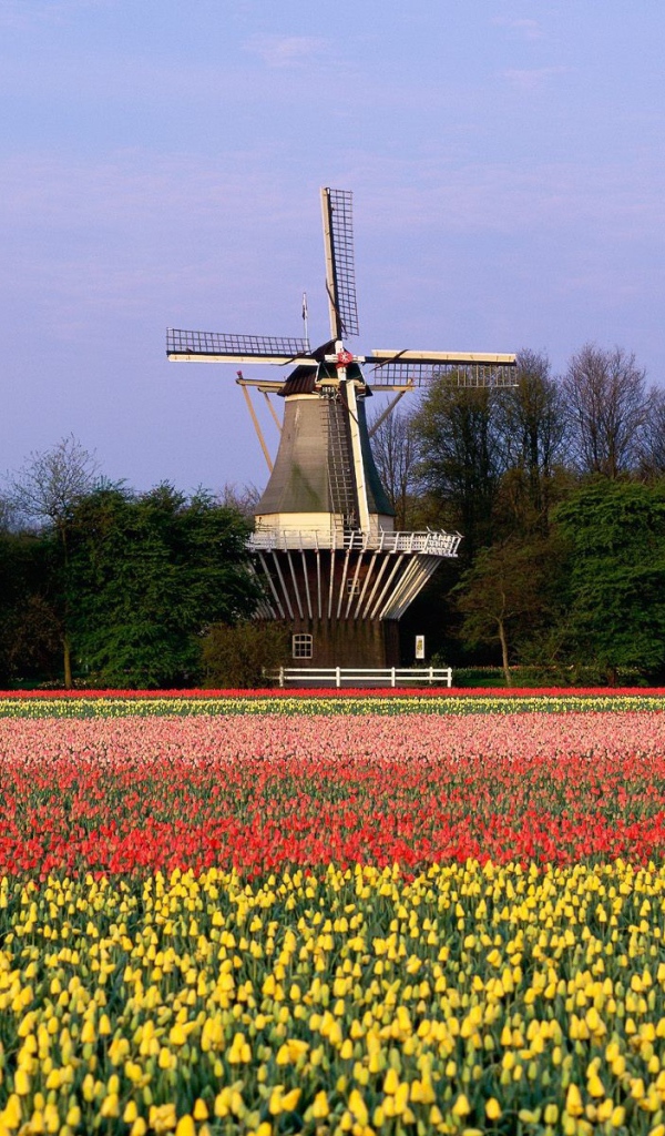 Нидерландский пейзаж