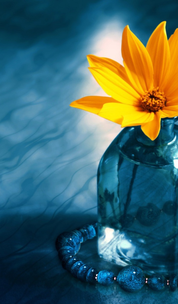 Желтый цветок в синей бутылке