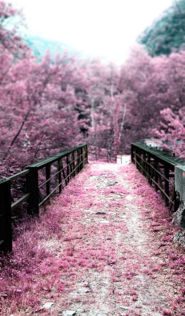 Вишневый сад