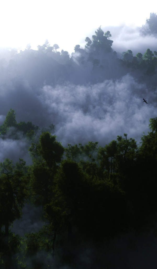 Туман среди деревьев