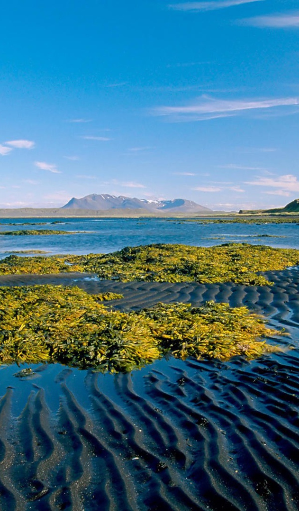 Остров скала