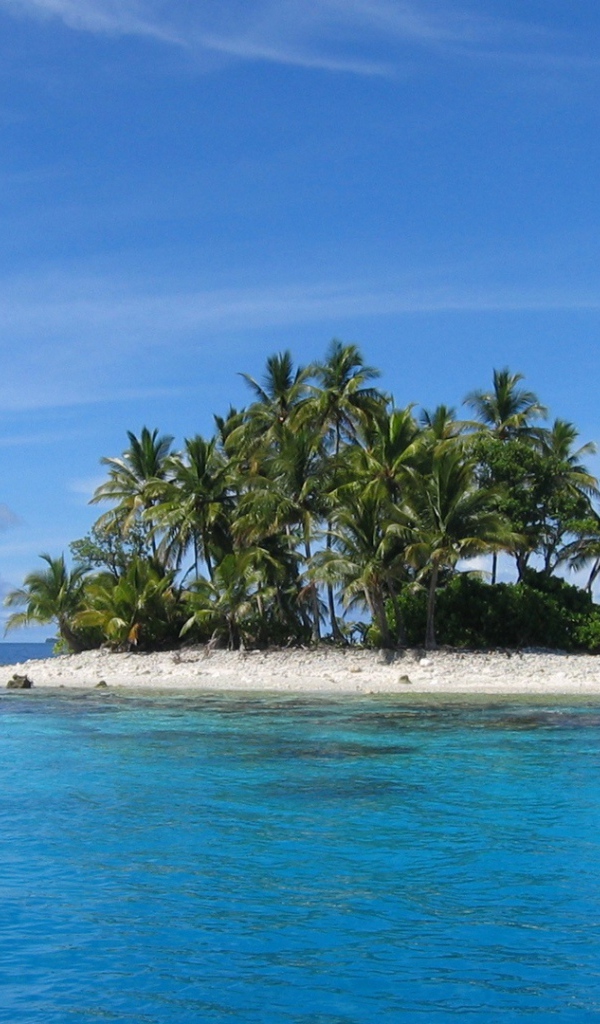 Остров с деревьями