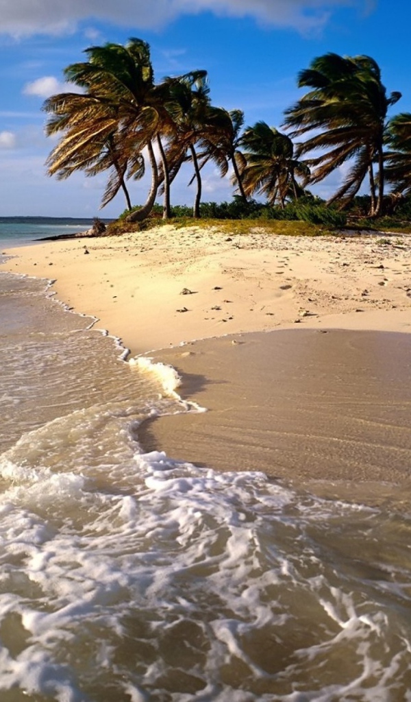 Песчаный Остров с пальмами