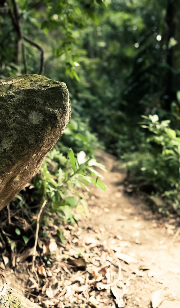 Камень у дороги