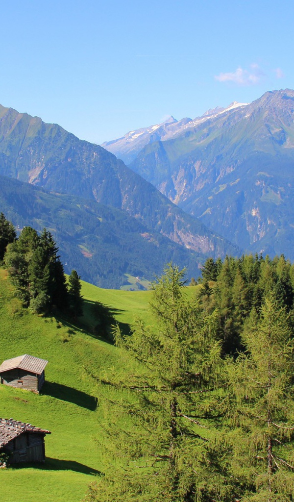 Альпийские луга и голубая даль