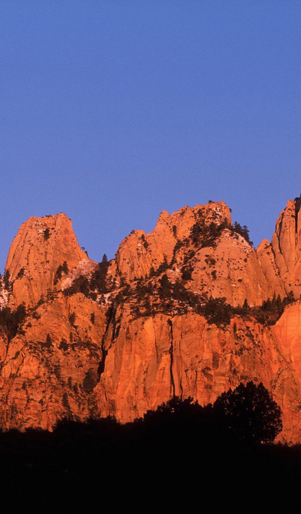 Красивый горный пейзаж с деревьями