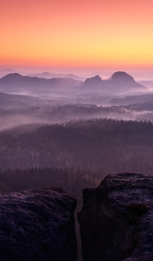 Сиреневый туман в горах