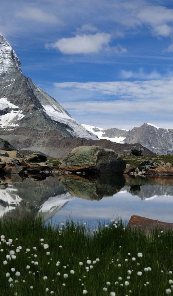 Горный пейзаж с озером и белые цветы
