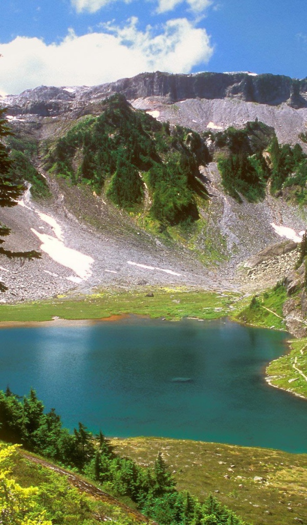 Горный пейзаж с деревом и озером